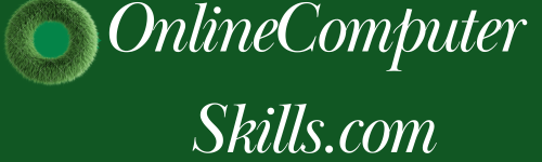 Online Computer Skills